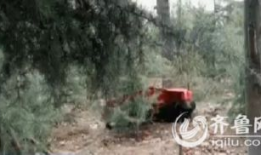 大阴户视频,探索神秘领域的真实面纱